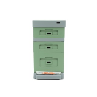 Ul Dadant z dennicą plastikową higieniczną malowany zielono - szary - LU1008H_Z