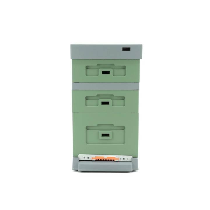 Ul Dadant z dennicą plastikową higieniczną malowany zielono - szary - LU1008H_Z