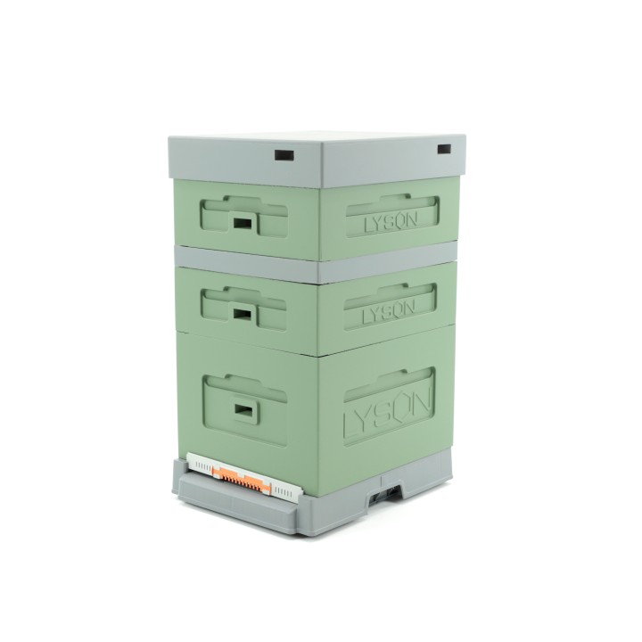 Ul Dadant z dennicą plastikową higieniczną malowany zielono - szary - LU1008H_Z