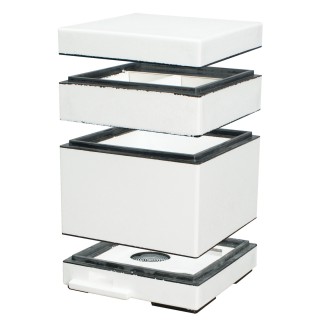 Mini ul dwurodzinny, bez ramek dennica monolit - niemalowany - W11190BR