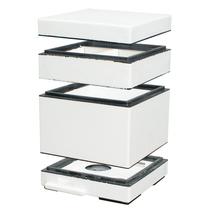 Mini ul dwurodzinny, bez ramek dennica monolit - niemalowany - W11190BR