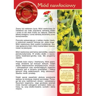 Broszurka informacyjna o miodzie - miód nawłociowy (20szt) - U12