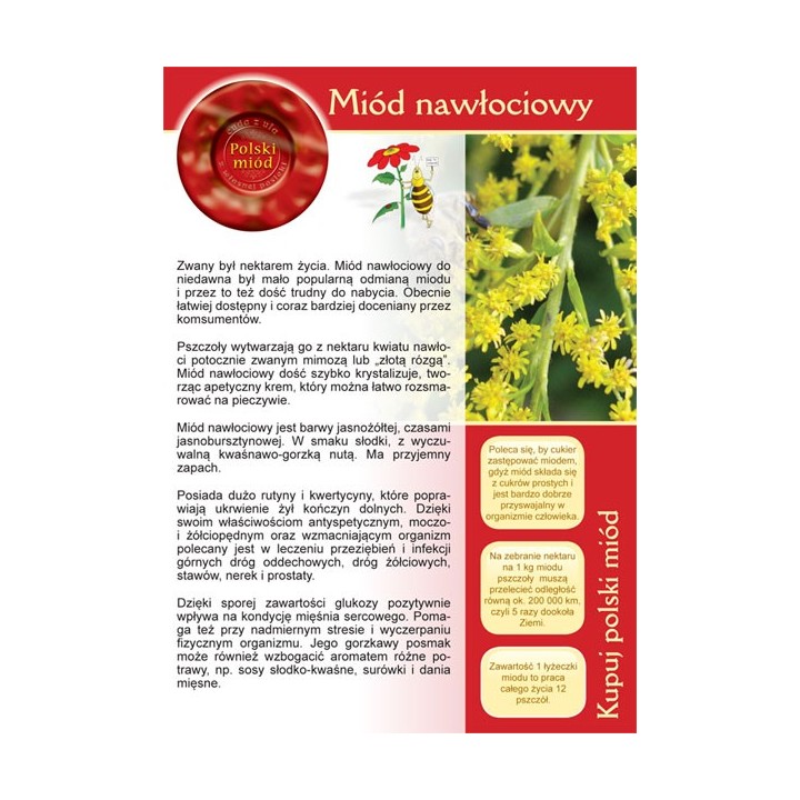 Broszurka informacyjna o miodzie - miód nawłociowy (20szt) - U12