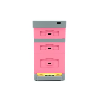 Ul Dadant z dennicą plastikową higieniczną malowany różowo - szary - LU1008H_R