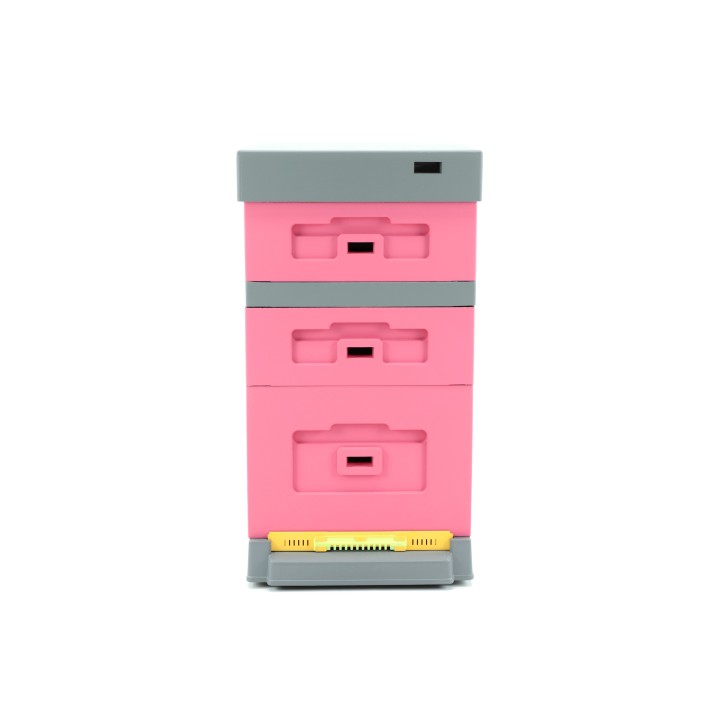 Ul Dadant z dennicą plastikową higieniczną malowany różowo - szary - LU1008H_R