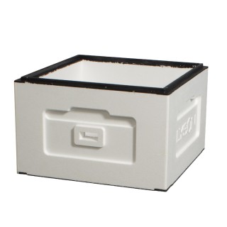 Korpus Wielkopolski, niemalowany - W10330