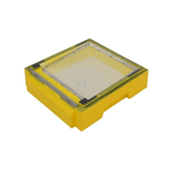 Dennica wysoka higieniczna Wielkopolska, Ostrowskiej, malowana - W103500