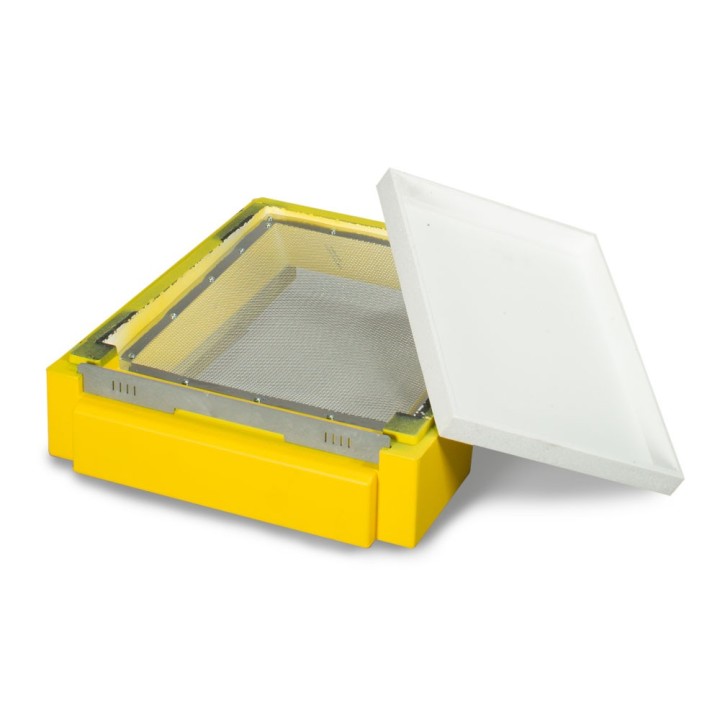 Dennica wysoka higieniczna Wielkopolska, Ostrowskiej, malowana - W103500