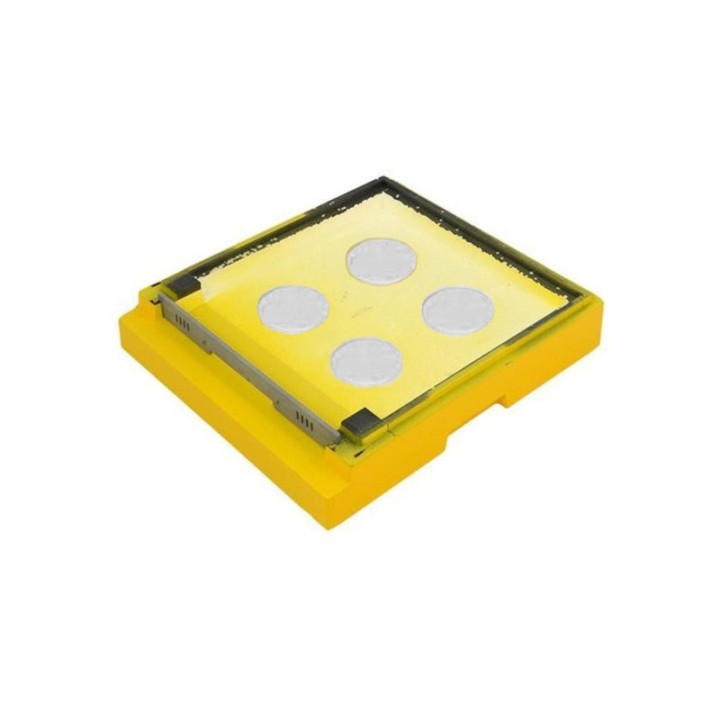 Dennica Wielkopolska, Ostrowskiej niska, malowana - W1043