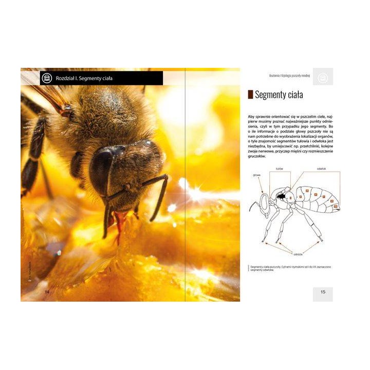 Anatomia i fizjologia pszczoły miodnej wyd. II