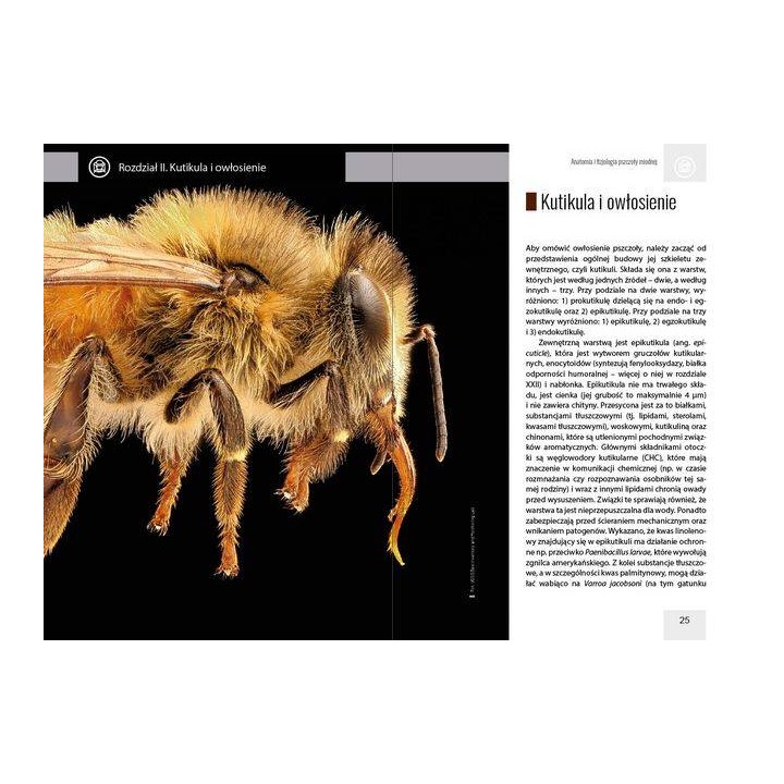 Anatomia i fizjologia pszczoły miodnej wyd. II