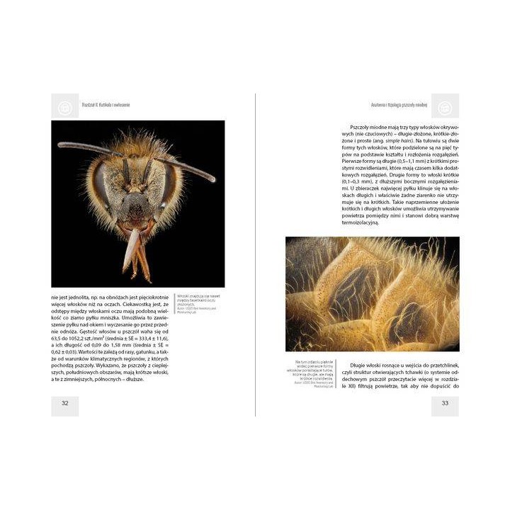 Anatomia i fizjologia pszczoły miodnej wyd. II