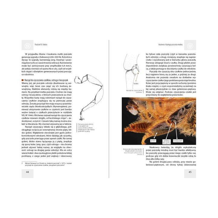 Anatomia i fizjologia pszczoły miodnej wyd. II