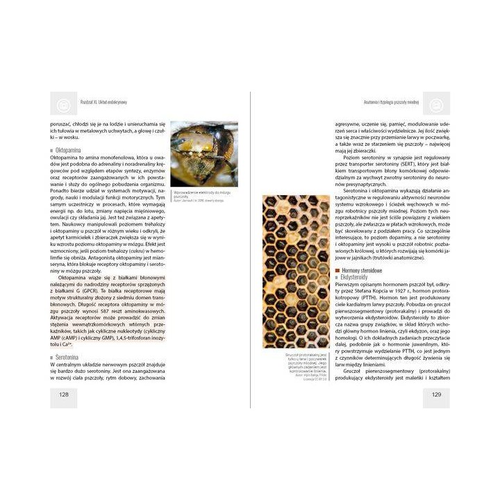 Anatomia i fizjologia pszczoły miodnej wyd. II