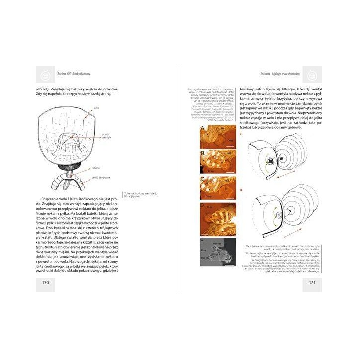 Anatomia i fizjologia pszczoły miodnej wyd. II