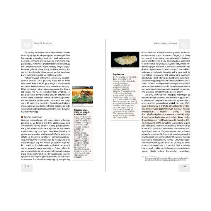 Anatomia i fizjologia pszczoły miodnej wyd. II