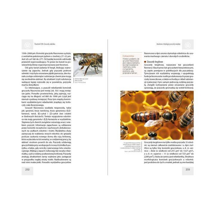 Anatomia i fizjologia pszczoły miodnej wyd. II
