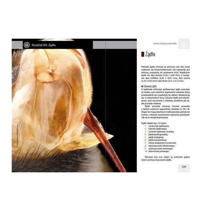 Anatomia i fizjologia pszczoły miodnej wyd. II
