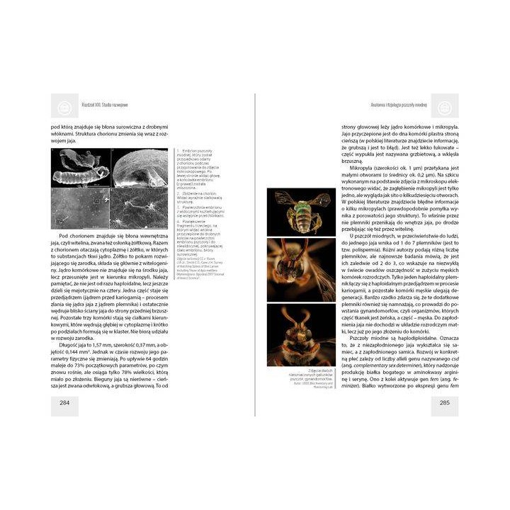 Anatomia i fizjologia pszczoły miodnej wyd. II