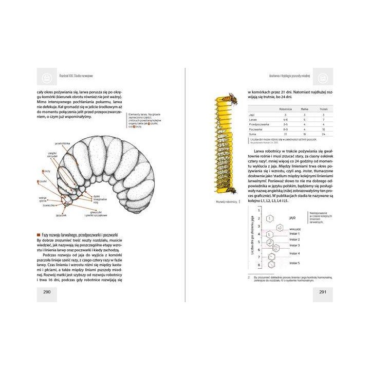 Anatomia i fizjologia pszczoły miodnej wyd. II
