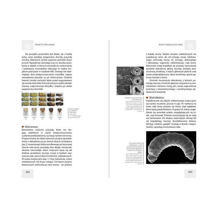 Anatomia i fizjologia pszczoły miodnej wyd. II