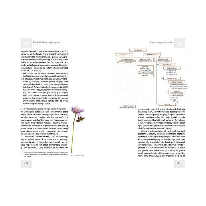 Anatomia i fizjologia pszczoły miodnej wyd. II