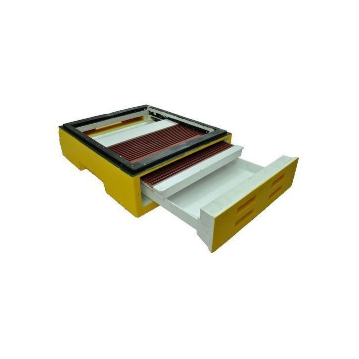 Dennicowy poławiacz pyłku Dadant/Langstroth/Apipol/Wielkopolski 12-ramkowy – malowany (monolit) - W1025