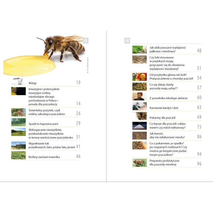e-book: praca zbiorowa - „Pożytki i karmienie pszczół”