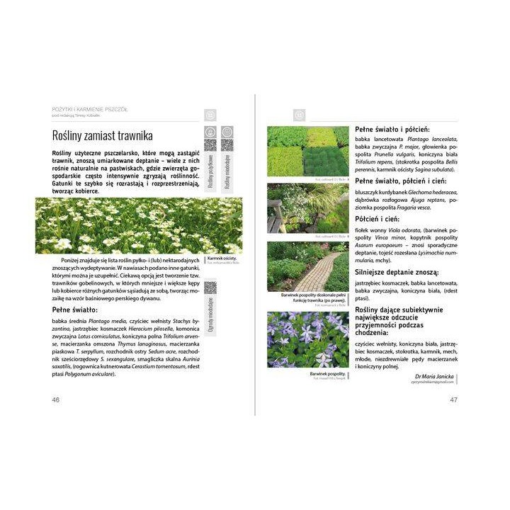 e-book: praca zbiorowa - „Pożytki i karmienie pszczół”