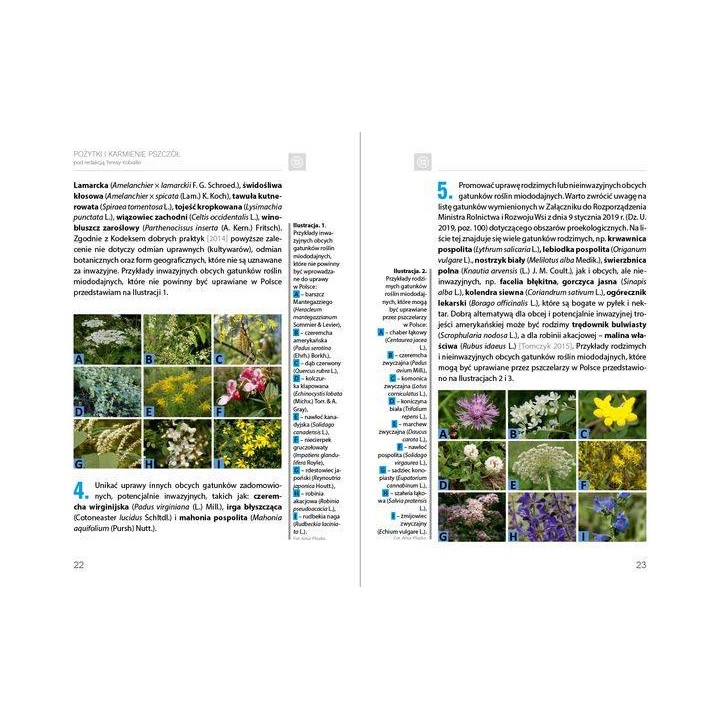 e-book: praca zbiorowa - „Pożytki i karmienie pszczół”