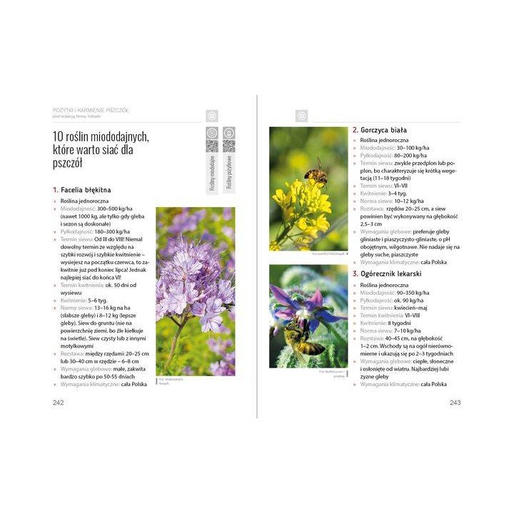 e-book: praca zbiorowa - „Pożytki i karmienie pszczół”