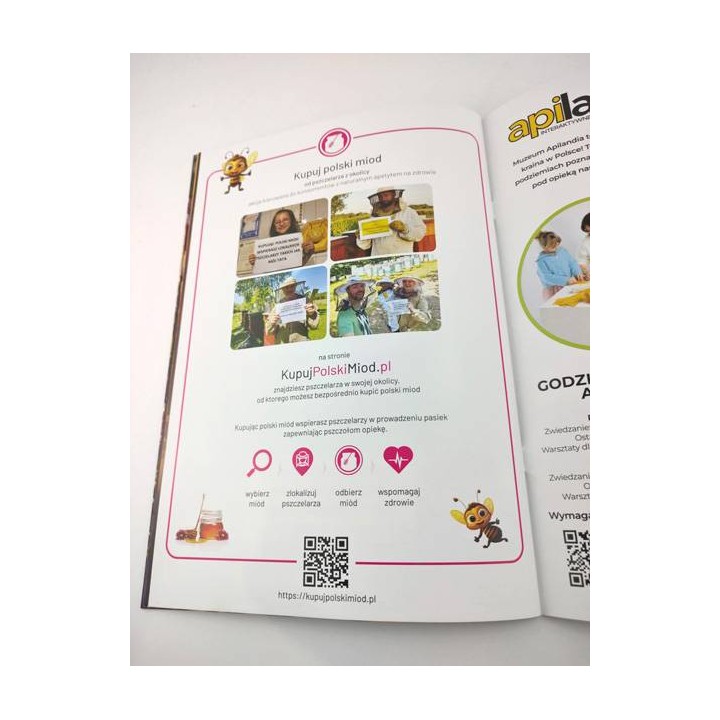 Bajka edukacyjna "Pszczółka nasza przyjaciółka" - K261