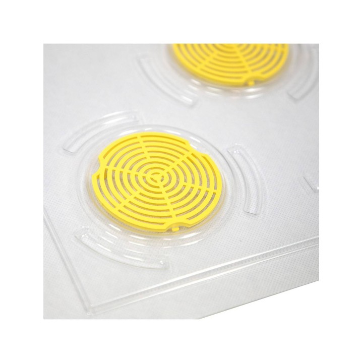 Powałka transparentna wielkopolska 10-ramkowa, plastikowa