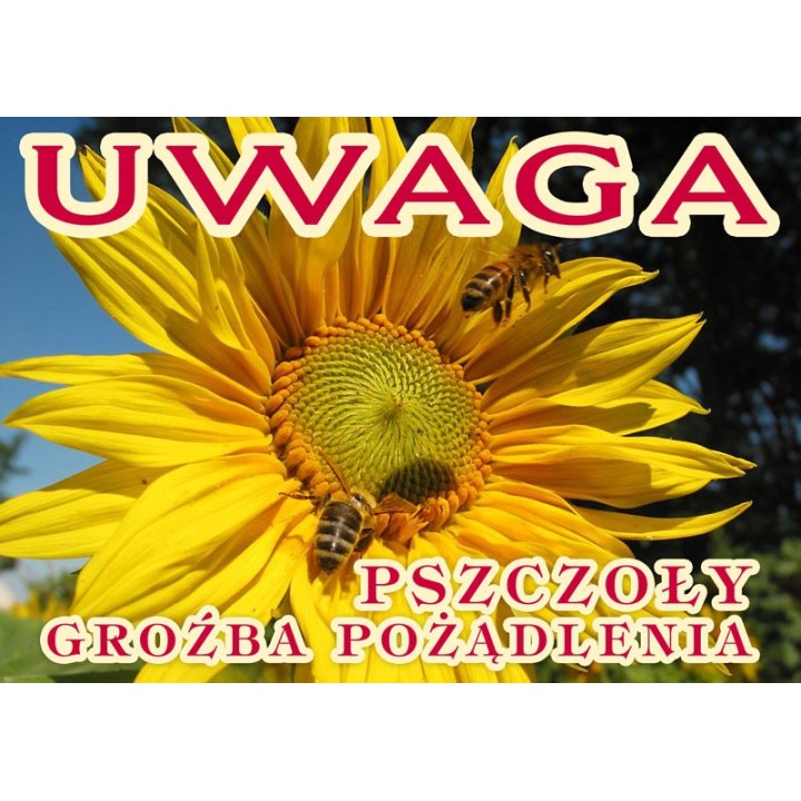 Duża tablica ostrzegawcza - wzór F306