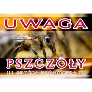Średnia tablica ostrzegawcza - wzór F205