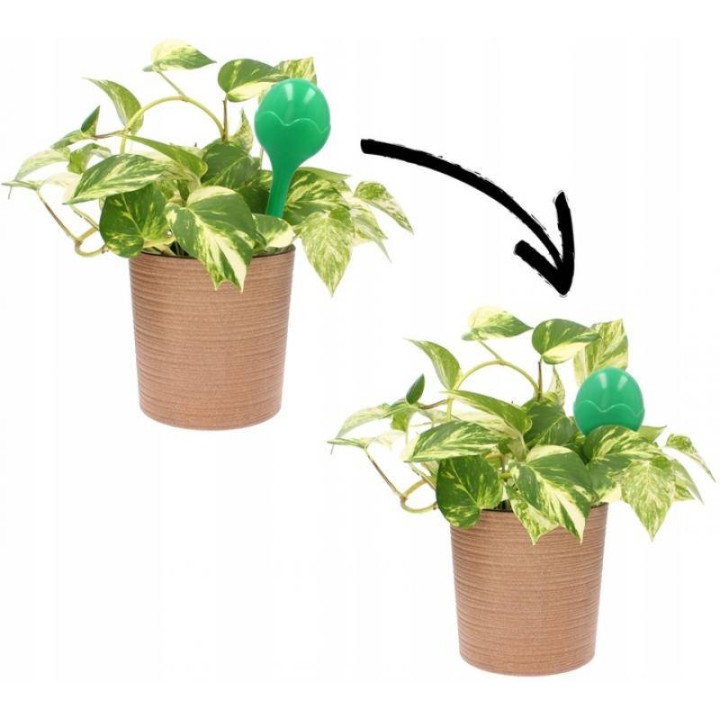 KOMPLET 2 KUL/DOZOWNIKÓW DO NAWADNIANIA KWIATÓW - EDA8563