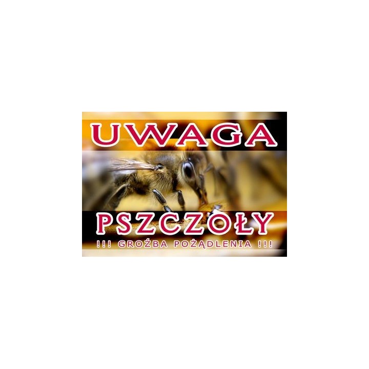 Duża tablica ostrzegawcza - wzór F305