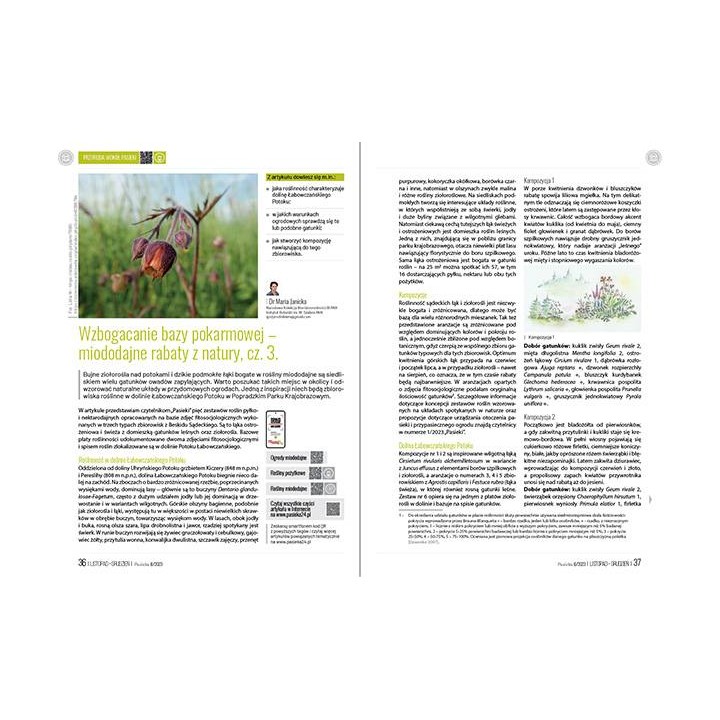 Pasieka nr 6/2023 (PAS122)